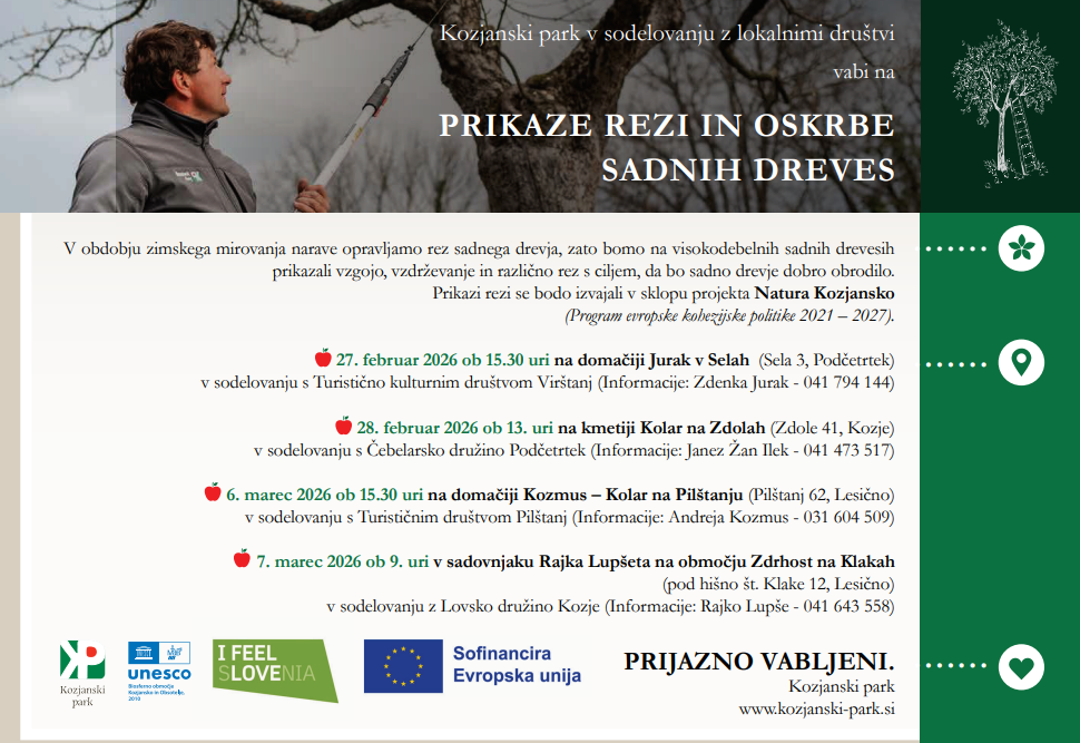 rez-sadnega-drevja.jpeg