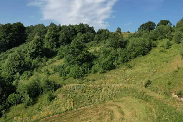 jovsi-natura-kozje-3756679BD0-A90B-21C1-3316-8A584CC551E6.webp